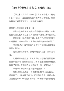 [800字]世界杯小作文（精选4篇）