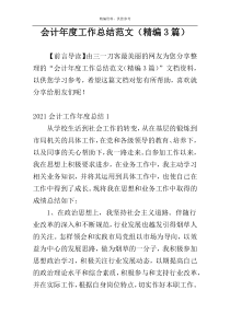 会计年度工作总结范文（精编3篇）