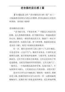 老舍猫的读后感3篇
