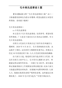 毛丰美先进事迹5篇