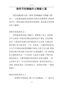 清明节的精编作文精编5篇