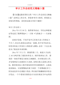 审计工作总结范文精编3篇