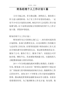 财务经理个人工作计划5篇