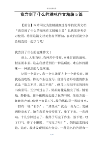 我尝到了什么的滋味作文精编5篇