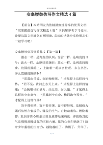 安塞腰鼓仿写作文精选4篇