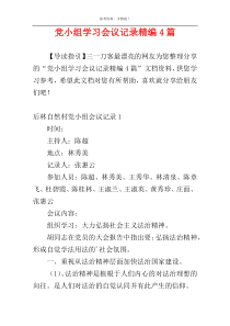 党小组学习会议记录精编4篇