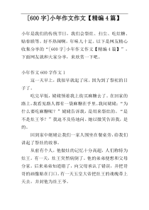 [600字]小年作文作文【精编4篇】
