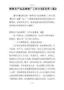 销售员产品品牌推广工作计划【优秀4篇】