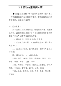 3.8活动方案案例4篇