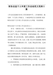 财务总监个人年度工作总结范文范例5篇