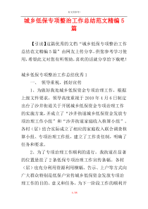 城乡低保专项整治工作总结范文精编5篇