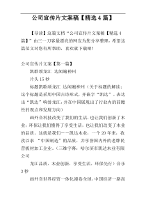 公司宣传片文案稿【精选4篇】