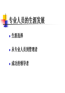 专业人员的生涯发展（PPT55页)