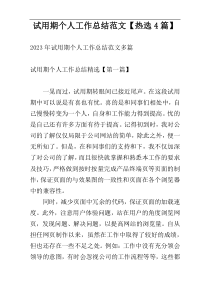 试用期个人工作总结范文【热选4篇】