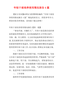 年轻干部培养使用情况报告4篇