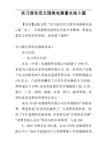 实习报告范文国美电器蓄水池5篇
