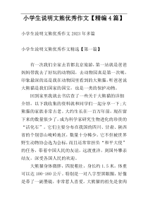 小学生说明文熊优秀作文【精编4篇】