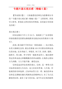 专题片基石观后感（精编5篇）
