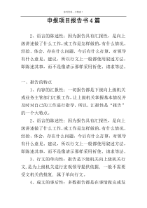 申报项目报告书4篇