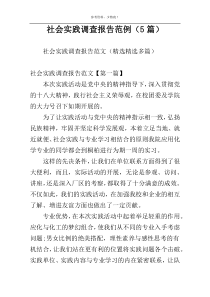 社会实践调查报告范例（5篇）