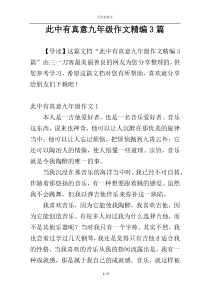 此中有真意九年级作文精编3篇