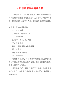 大型活动策划书精编5篇