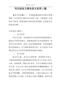 写生的实习报告范文实用3篇