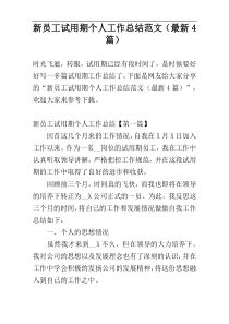 新员工试用期个人工作总结范文（最新4篇）