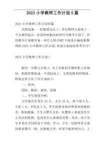 2023小学教师工作计划5篇