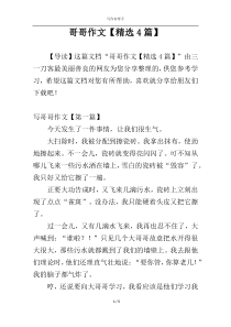 哥哥作文【精选4篇】