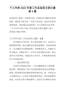 个人年终2022年度工作总结范文例文最新4篇