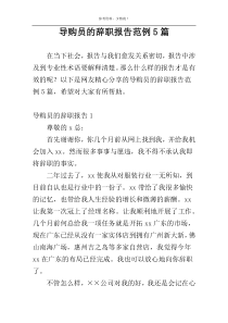 导购员的辞职报告范例5篇
