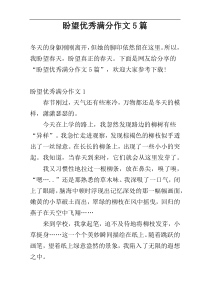 盼望优秀满分作文5篇