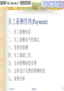 人力资源-员工薪酬管理(Payment)（PPT67页）