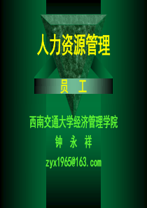 人力资源开发与管理4(员工)