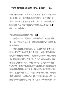 六年级狗尾草观察日记【精选4篇】