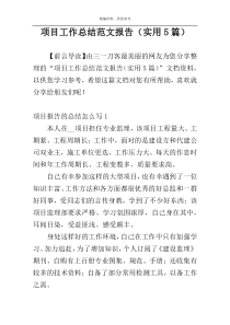项目工作总结范文报告（实用5篇）