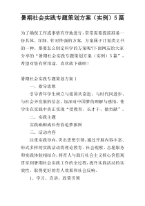 暑期社会实践专题策划方案（实例）5篇