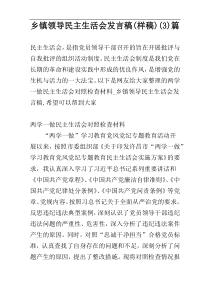 乡镇领导民主生活会发言稿(样稿)(3)篇