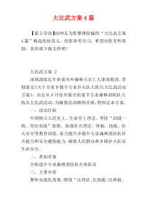 大比武方案4篇