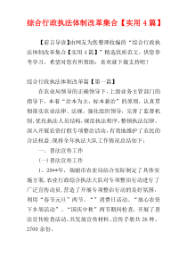 综合行政执法体制改革集合【实用4篇】