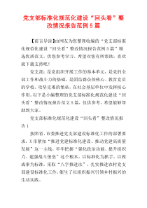 党支部标准化规范化建设“回头看”整改情况报告范例5篇