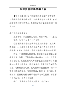 我的青春故事精编3篇