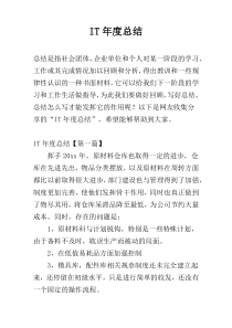 IT年度总结