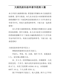大病民政补助申请书范例5篇