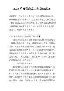 2023消毒供应室工作总结范文