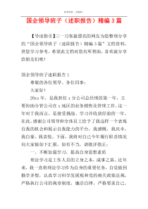 国企领导班子（述职报告）精编3篇