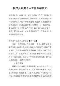 程序员年度个人工作总结范文