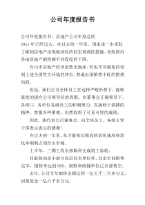 公司年度报告书