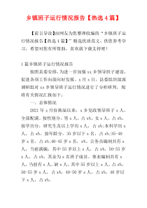 乡镇班子运行情况报告【热选4篇】